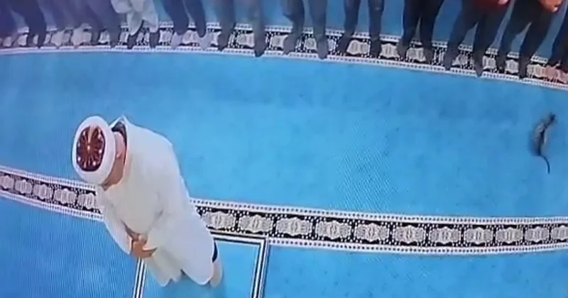 Namaz sırasında kediye bunu yaptı: İmamın kafasına geldi! Gözaltına alındı