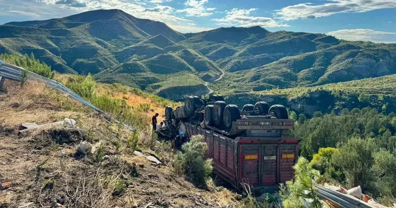 Antalya da yem yüklü tır şarampole yuvarlandı