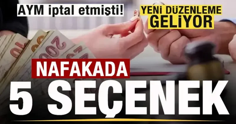 AYM iptal etmişti! Nafaka için beş formül! Yeni düzenleme geliyor