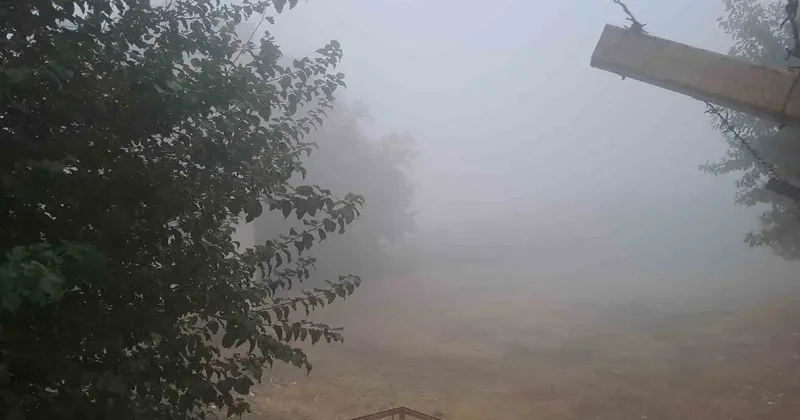 Diyarbakır’ın Silvan ilçesinde yoğun sis