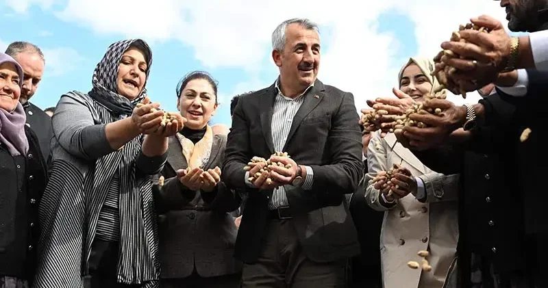Edirne de Meriç Alibeyköy Fıstık Hasadı Şenliği düzenlendi