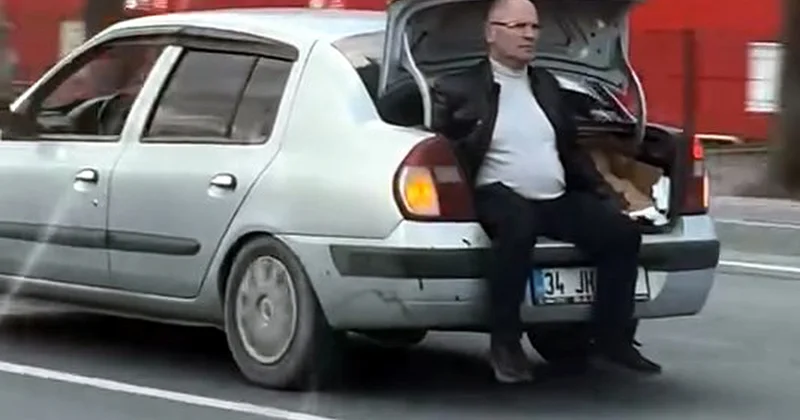 Avcılar da bagajda hastaneye götürülen yaralı kedi kurtarılamadı