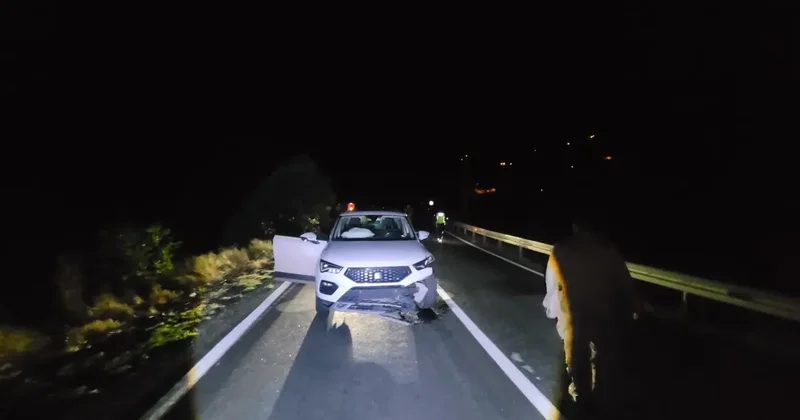 Yer: Tunceli! Cipin çarptığı ayı öldü