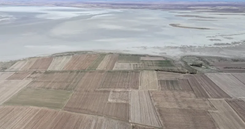 Koca göl hartadan silindi! Bir zamanlar Kuş Cenneti ydi