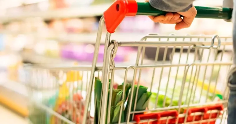 Kasım Ayı Fiyat Artışları ve Düşüşleri