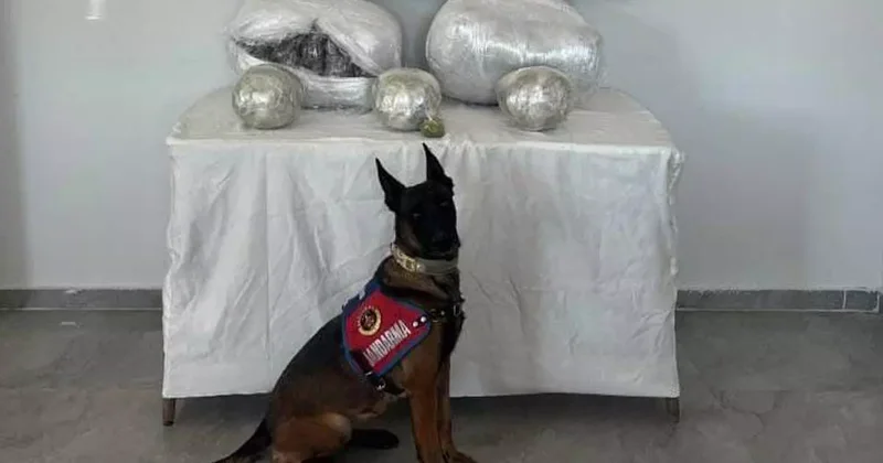 Şanlıurfa’da 25 kilogram uyuşturucu madde ele geçirildi