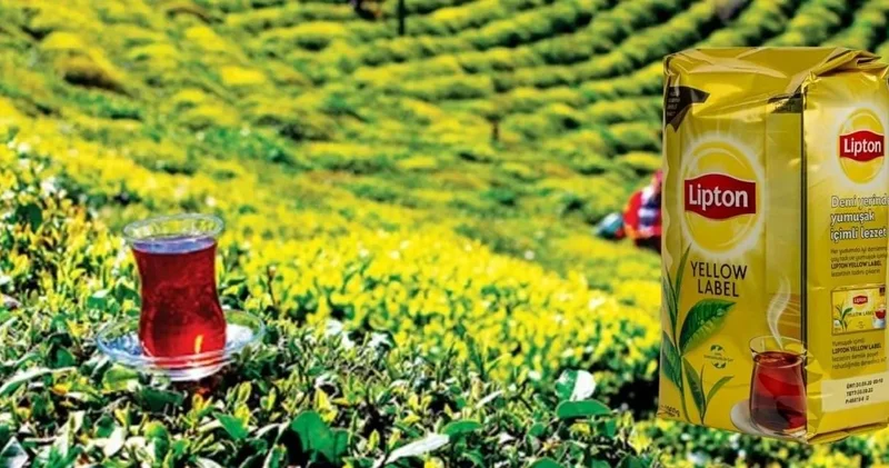 Lipton Türkiye deki faaliyetlerine son verdi
