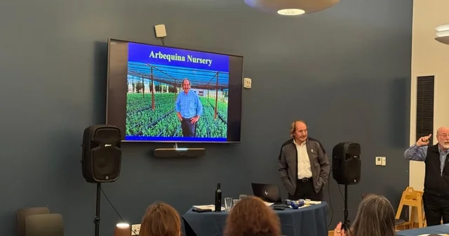 Türk zeytinyağına ABD de büyük ilgi Manisa Haberleri