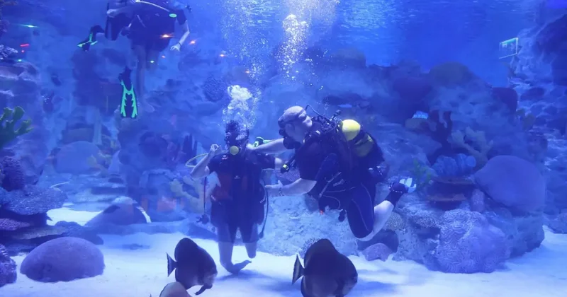 Engelliler, su altı dalışı yaparak yeteneklerini sergiledi