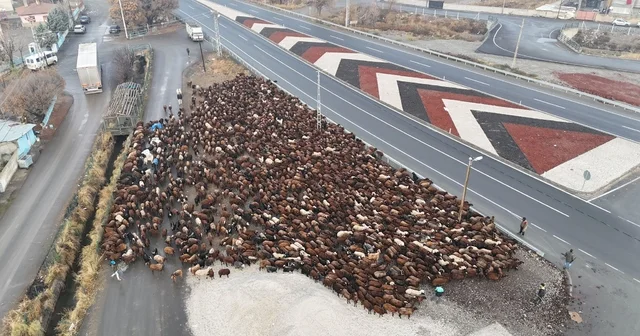Iğdırlı göçerler, zorlu yolculuğun ardından Iğdır a ulaştı Iğdır Haberleri