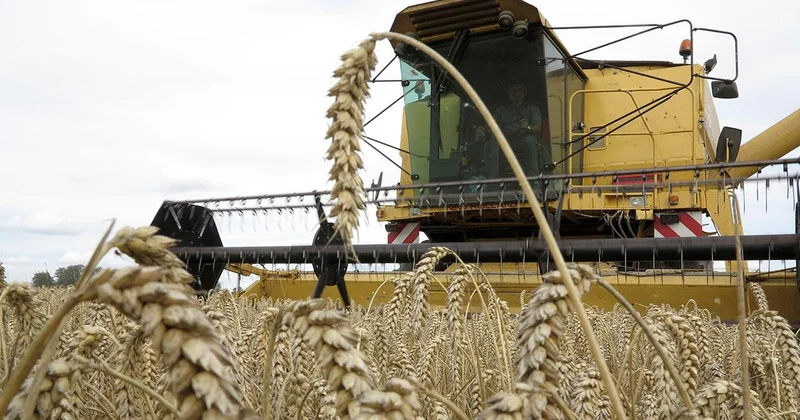 Üreticilere kasımda 376,8 milyon lira destekleme ödemesi yapıldı