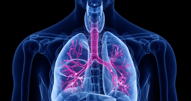 Nefesiniz açılacak: Akciğerleri destekleyen bilimsel öneriler