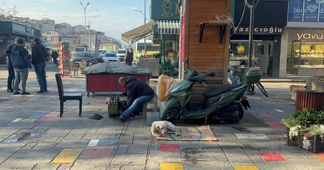 Hayata tutunan engelli köpeğe bebek gibi bakıyor Zonguldak Haberleri