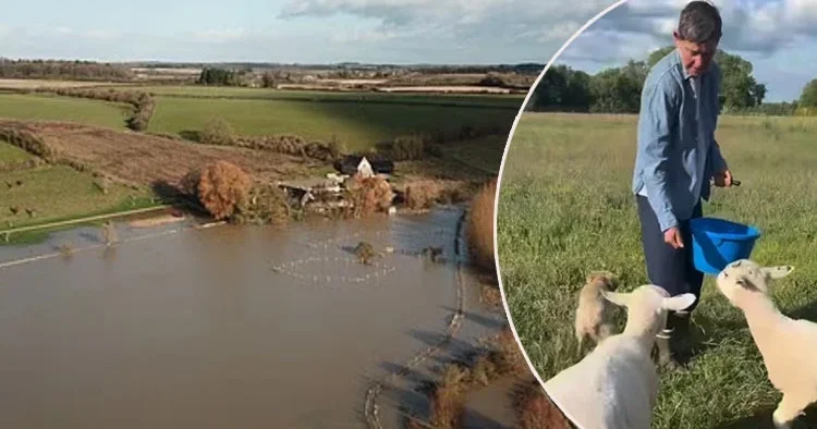 Ünlü sunucunun doğal yaşam hevesi kabusa döndü... Büyük rüya sele kapıldı... Milyonlar uçtu gitti!
