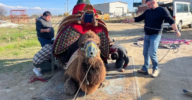 Şampiyon devenin havudu dualarla takıldı Denizli Haberleri