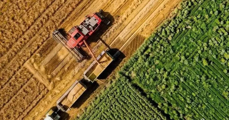 Rusya’dan Türkiye’ye tarım ihracatı %85 arttı: Made in Russia artışta nasıl bir rol oynadı