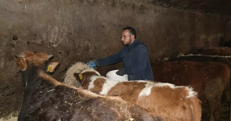 Ağrılı genç, hibe desteğiyle hayvancılık işini büyüttü