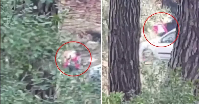 Görüntü İzmir den! Sesleri duyup önce kayda aldı, sonra polisi aradı