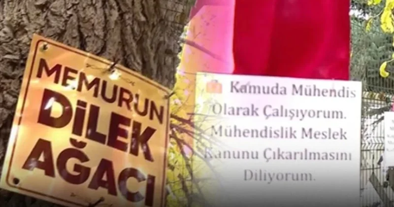 Sesini duyuramayan memurlar çareyi dilek ağacında aradı Sözcü Gazetesi