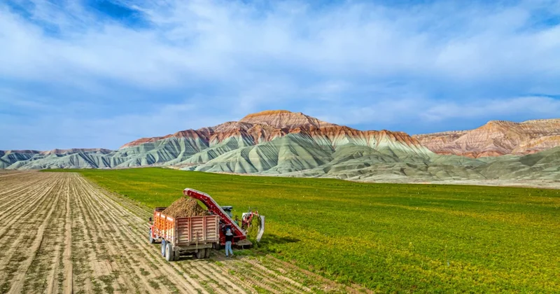 Havuç hasadı artık dakikalar içinde yapılıyor Sözcü Gazetesi