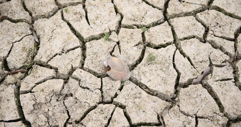 İran dan kuraklık için işbirliği çağrısı İş Yaşam Haberleri