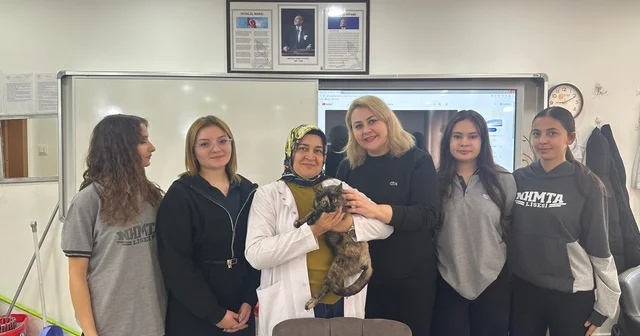 Okul bahçesinde bulunan kalçası kırık kedi, tedavi edildi Kayseri Haberleri