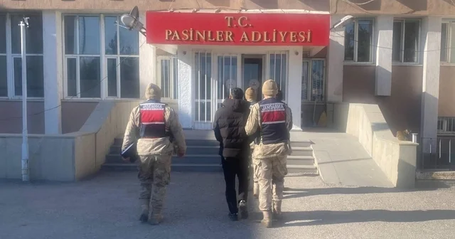 Jandarma büyükbaş hayvan hırsızlarını kısa sürede yakaladı Erzurum Haberleri