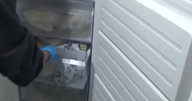 Dolandırıcıların polis yalanıyla dolandırdığı 85 bin euro nakit derin dondurucudan çıktı VİDEO İZLE