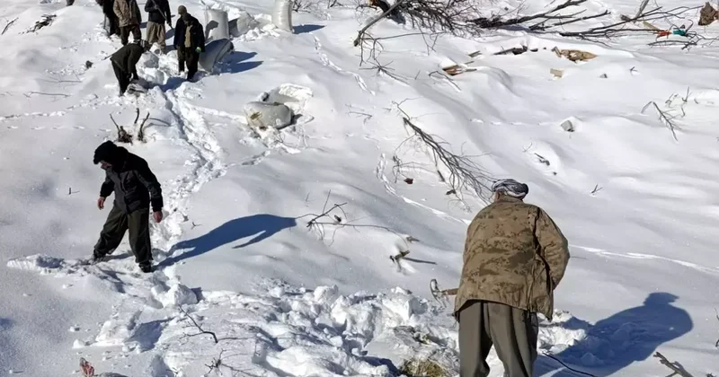 O kentimiz çığ altında kaldı! 8 ev zarar gördü