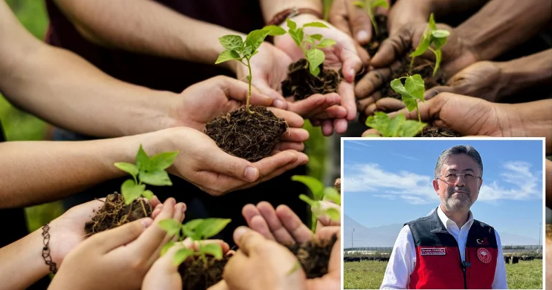 Türkiye de 517 milyon fidan ve tohum toprakla buluştu Gündem Haberleri