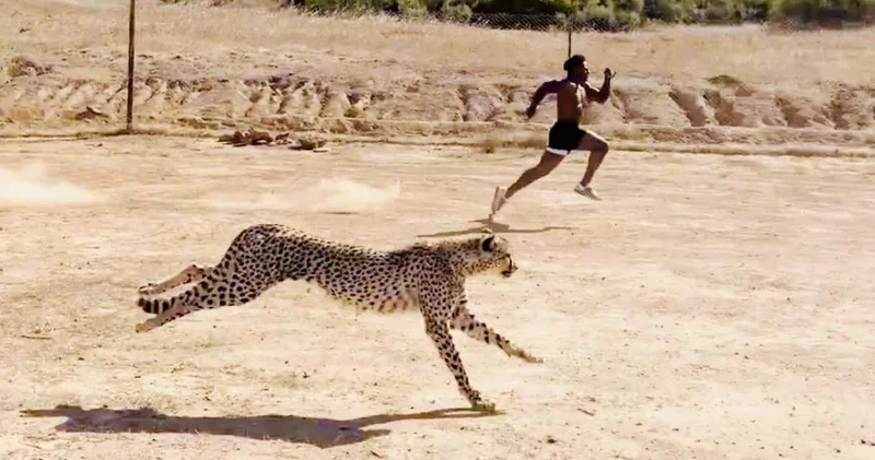 Dünyaca ünlü yayıncı IShowSpeed çitayla yarıştı