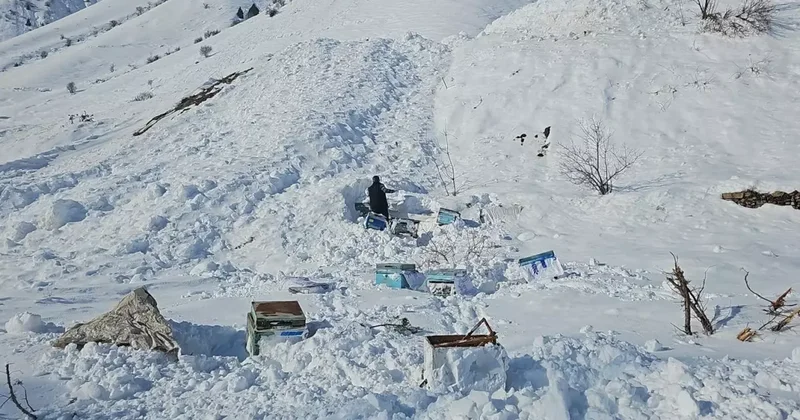 Uludere de Çığ Faciası: 1 Ölü