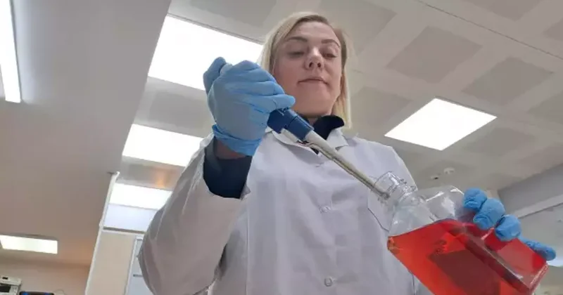 Sakarya da geliştirilen bor tabanlı kanser tedavisi projesi yüzde 80 başarı sağladı