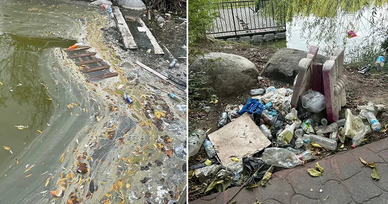 Bakırköy Botanik Parkı’nda endişe yaratan görüntüler Sözcü Gazetesi