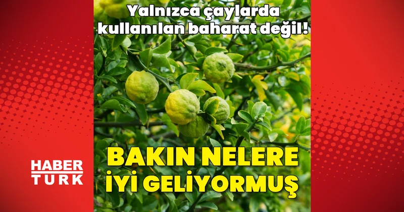 Yalnızca çaylarda kullanılan bir baharat değil! Bergamot bakın nelere iyi geliyormuş!