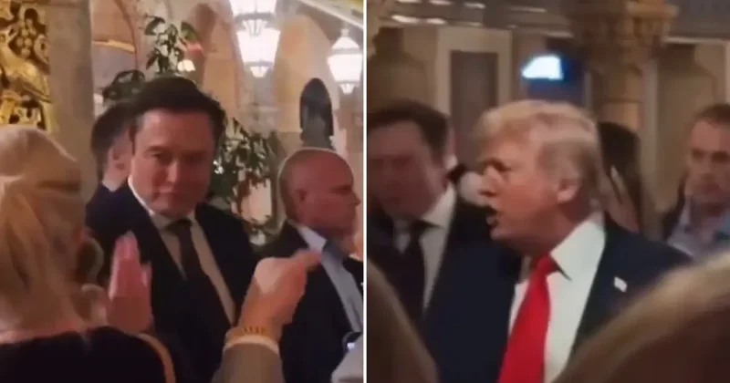 Trump tan zafer yemeği! Musk da katıldı