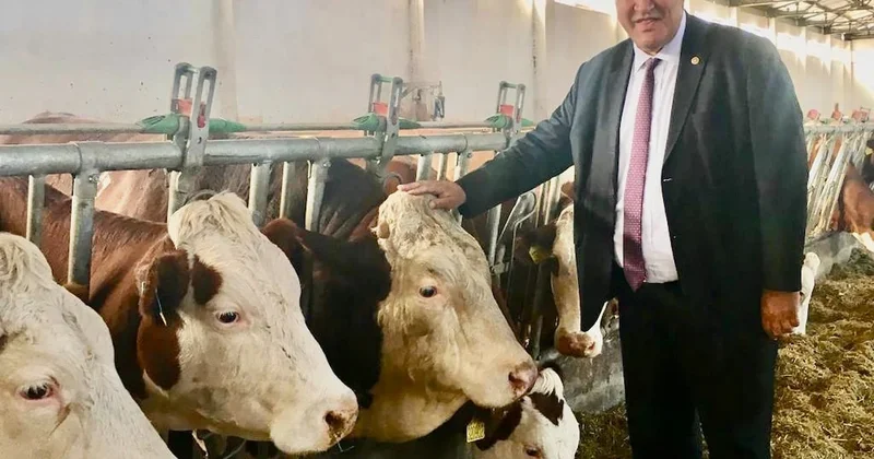 Gürer: Hem hayvanda, hem de ithalatta patlama yaşanmış Sözcü Gazetesi