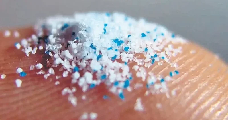 Mikroplastikler damarları tıkıyor