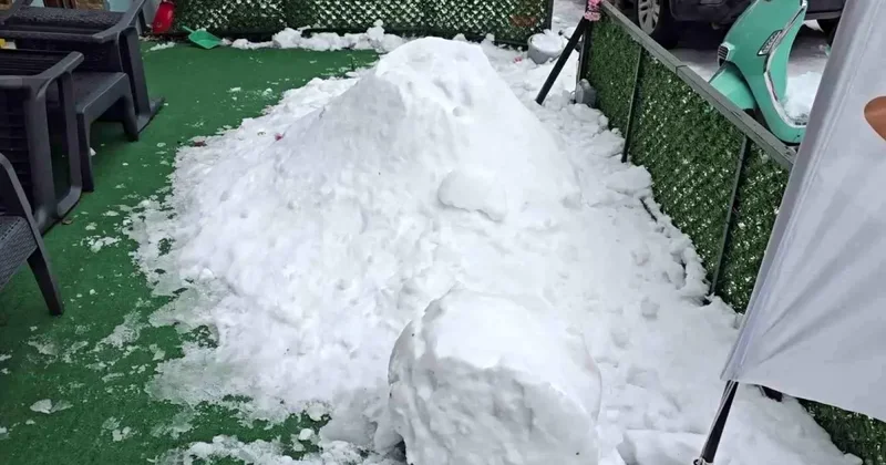 Kardan Adamın Faciası: Gençler Saldırdı