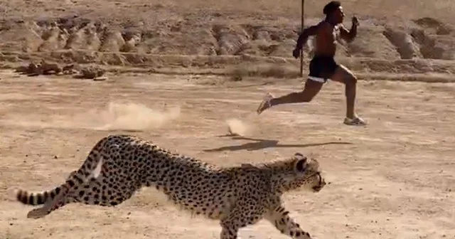 Ünlü yayıncı Afrika turunda çitaya kafa tuttu VİDEO İZLE