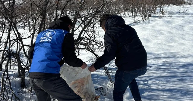 Bingöl de yaban hayvanları için doğaya yem bırakıldı Bingöl Haberleri
