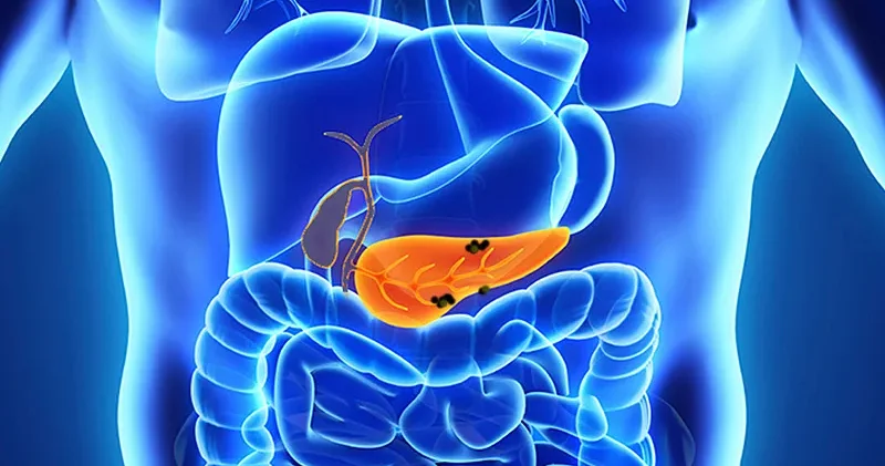 Farelerde pankreas kanserine karşı umut veren bulgular: İnsanlarda da sonuç verir mi?