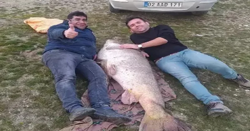 Denizi olmayan şehirde yakalandı: Tanesi 60 bin liraya satılıyor Sözcü Gazetesi