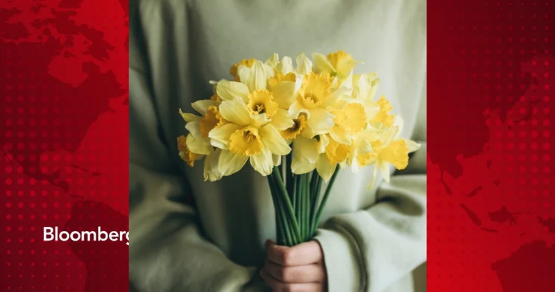 Nergis çiçeğinin anlamı nedir?