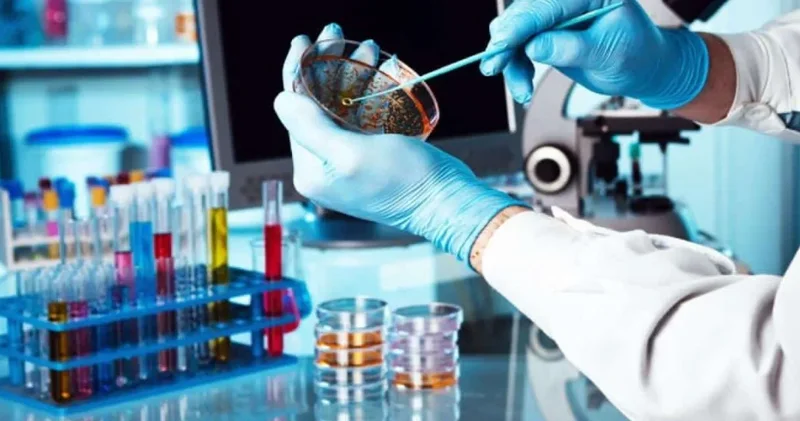 Çiçek Hastalığından Sonra İlk Kez Bir Hastalık Daha Yok Olmaya Yaklaşıyor