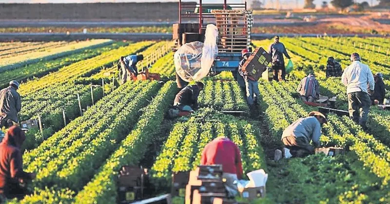 Kırsaldaki girişimciye 1.7 milyar destek