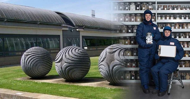 İçinde ne altın ne dolar var! Dünyanın en değerli bankası 20 derecede saklanıyor Sözcü Gazetesi