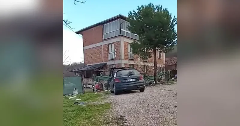 Bahçesine giren köpeği öldüren vicdansız apar topar kaçtı