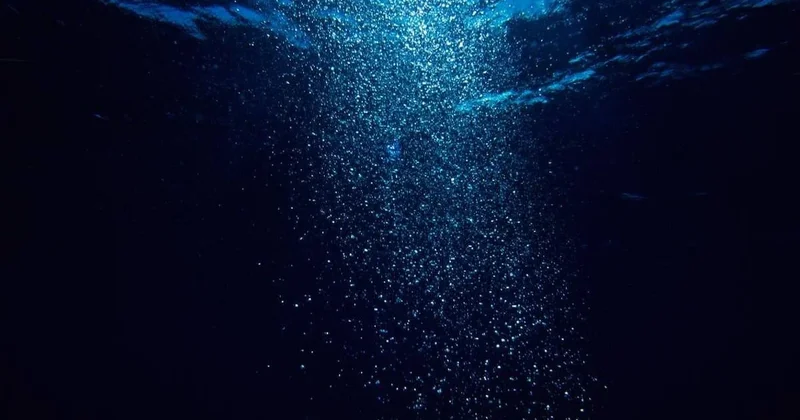 Suyun derinliklerinde merak uyandıran ses: Bir ilk Sözcü Gazetesi