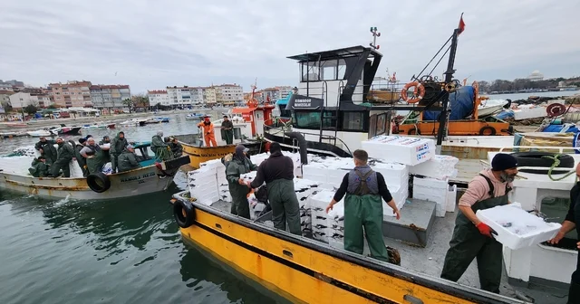 Tekirdağ açıklarında torik bereketi Tekirdağ Haberleri